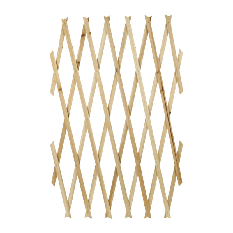 Collection by London Drugs Decoration Trellis - 180 x 60cm