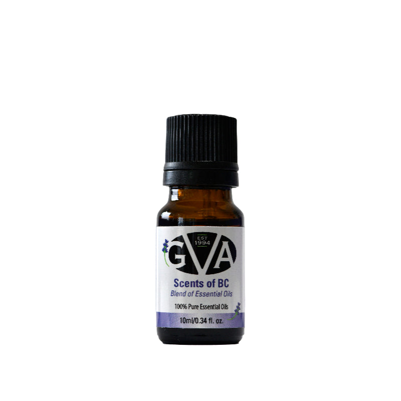 GVA Blend Essential Oil - Scent of BC - 10ml