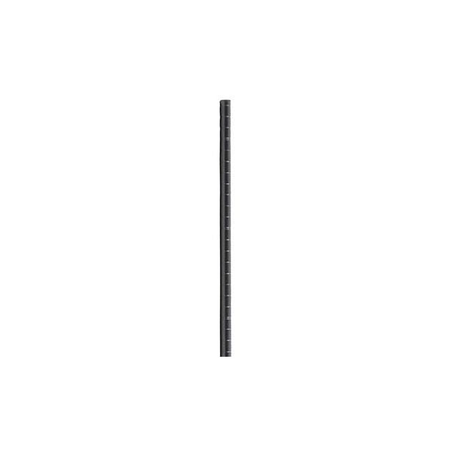 Cut Post, W40"