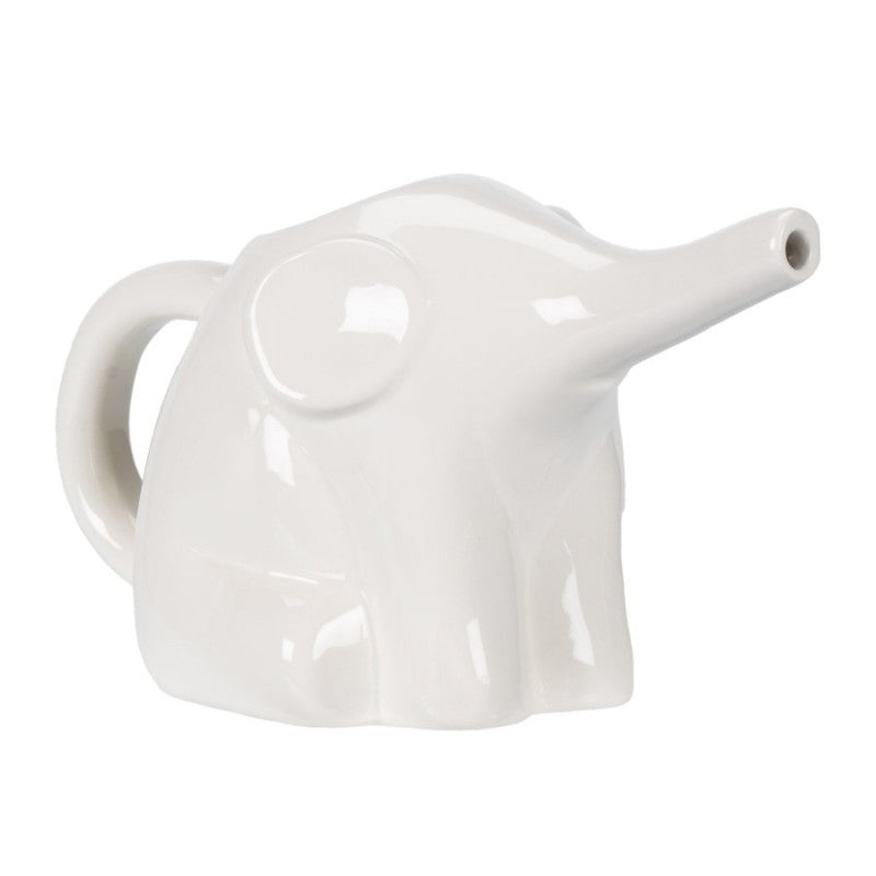 Collection by London Drugs Earthenware Watering Can