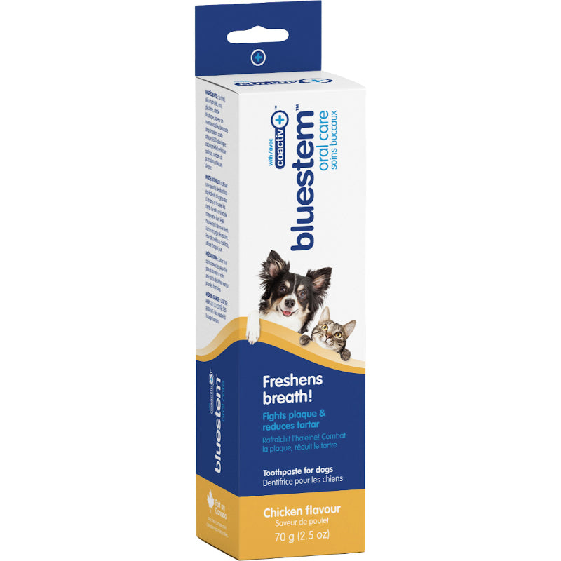 BlueStem Fresh Breath Toothpaste for Dogs