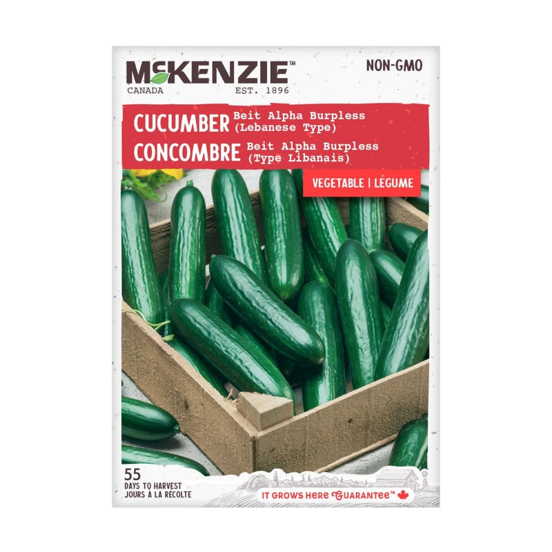 McKenzie Beit Alpha Burpless Hybrid Lebanese Type Vegetable Seeds - Cucumber