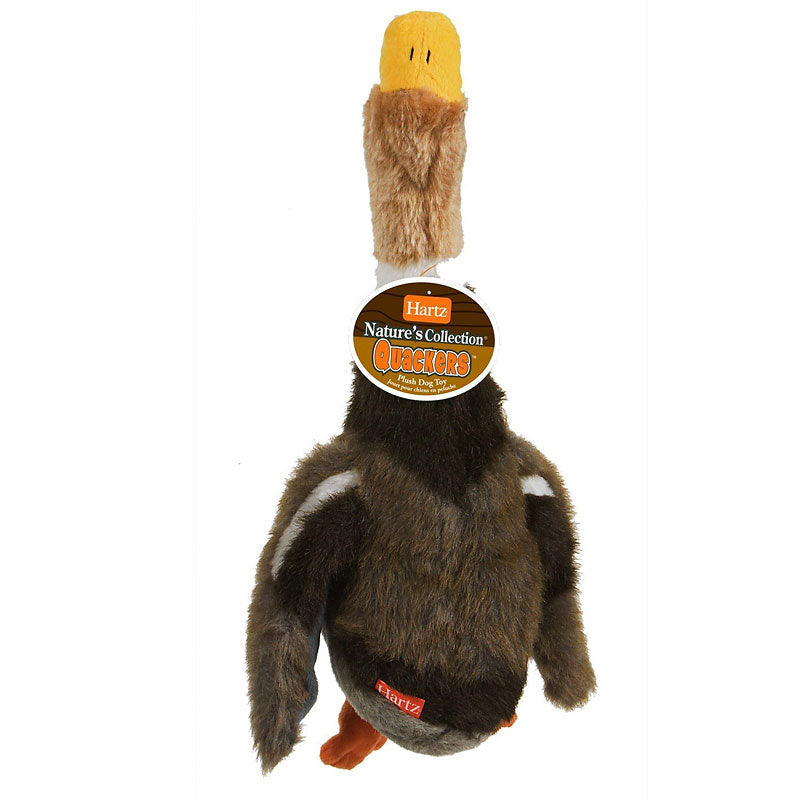 Hartz Quackers Dog Toy - Assorted