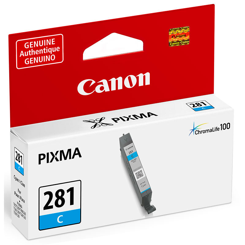 Canon CLI-281 Printer Ink Cartridge