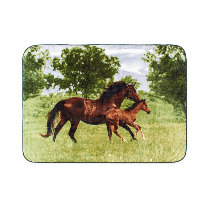 Shavel Hi Pile Throw - Mare & Colt - 152 x 203cm
