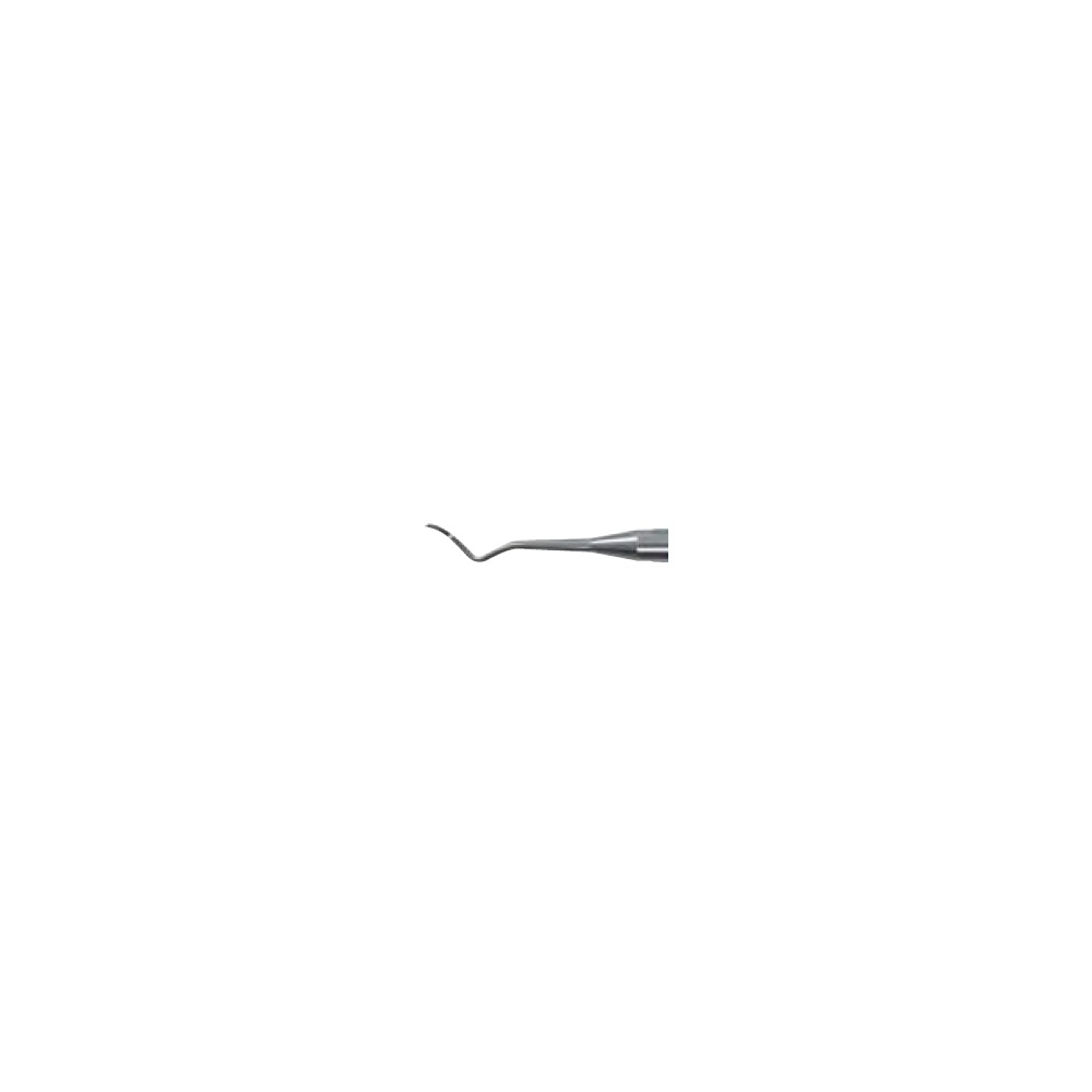 Flexichange® Point A Scaler Tip, S204