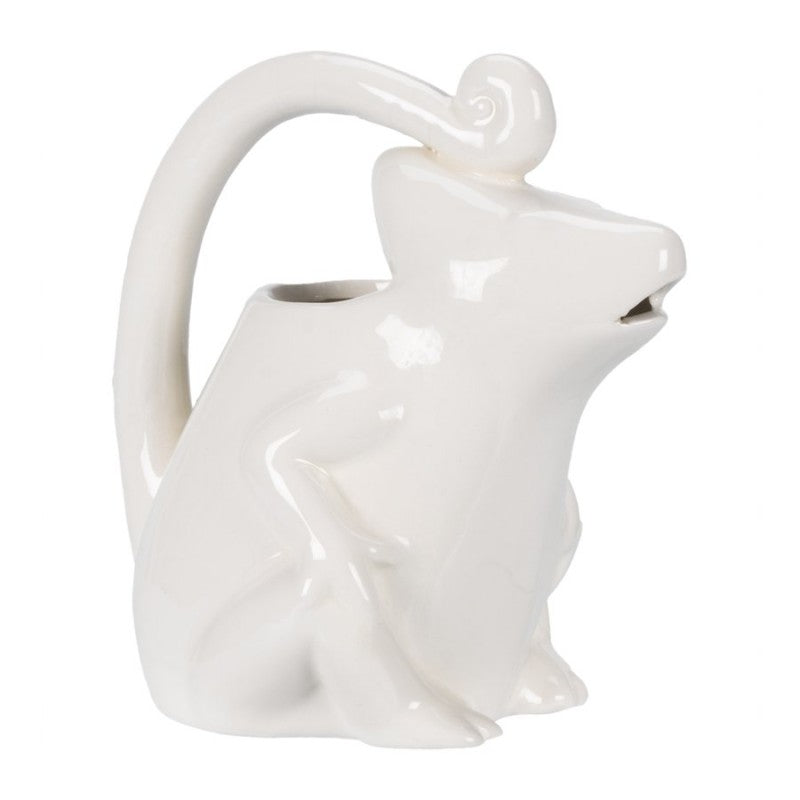 Collection by London Drugs Earthenware Watering Can
