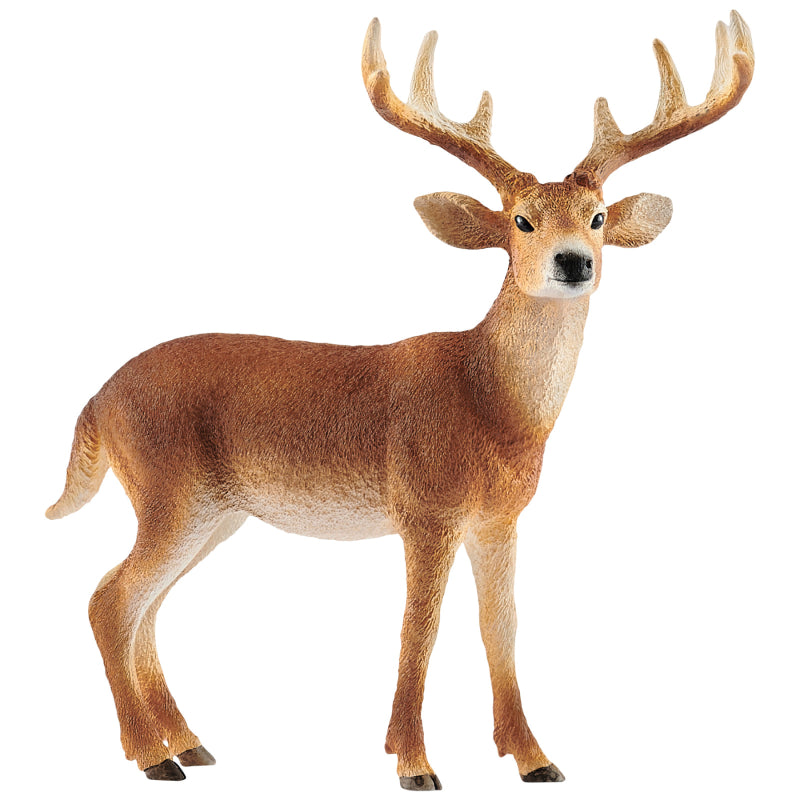 Schleich White Tailed Buck Toy Figurine