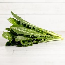 Various Farms - BC Dandelion Green Org