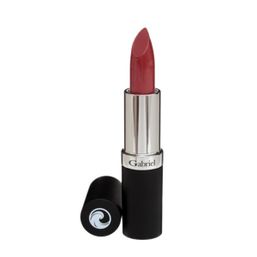 Gabriel Lipstick - Raisin