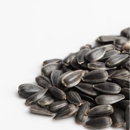 Mumm's Sprouting Seeds Sunflower Seeds