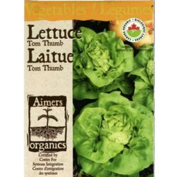 Aimers Organics Tom Thumb Lettuce