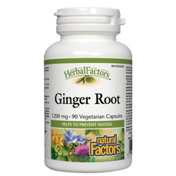 Natural Factors HerbalFactors Ginger Root - 1,200 mg