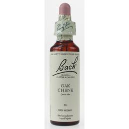 Bach Oak