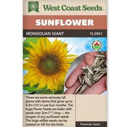 West Coast Seeds Seeds - Mongolian Giant Sunflower Certified Organic