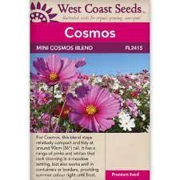West Coast Seeds Seeds - Mini Blend Cosmos