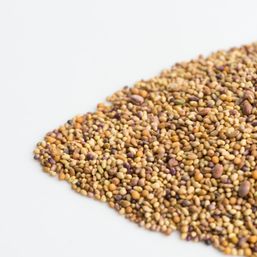 Mumm's Sprouting Seeds Sandwich Booster