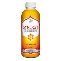GT's Kombucha Drink - Gingerade