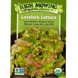High Mowing Organic Seeds Seeds - Lettuce, Lovelock