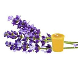 Honey Candles Essential Votive - Lavender