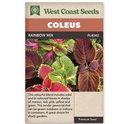 West Coast Seeds Coleus Rainbow Mix