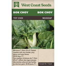 West Coast Seeds Seeds - Toy Choy F1 Bok Choy