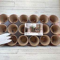 Amiable Organics Plant Starter Kit