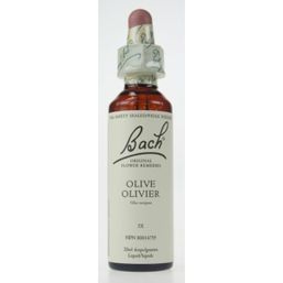 Bach Olive