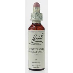 Bach Honeysuckle