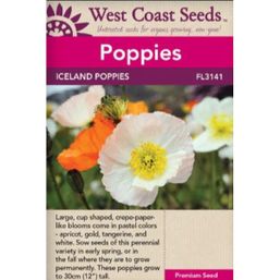 West Coast Seeds Seeds - Iceland Poppies