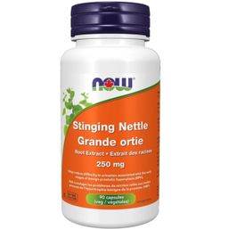 Now Stinging Nettle Root Extract - 250 mg