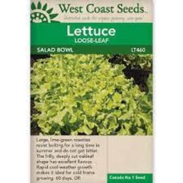 West Coast Seeds Seeds - Salad Bowl Green