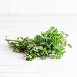 Various Farms - AB/CAL/MX Fresh Herbs - Oregano
