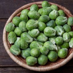 High Mowing Organic Seeds Nautic F1 Brussels Sprouts