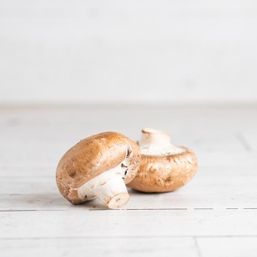 Various Farms - BC Mushrooms Portabella Org