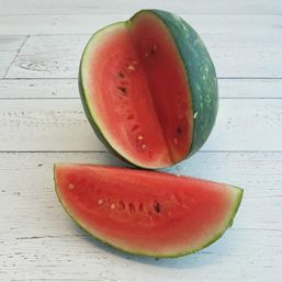 Various Farms - MX Watermelons Mini Red Org