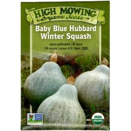 High Mowing Organic Seeds Baby Blue Hubbard Winter Squash Seeds Org