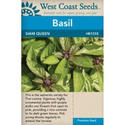 West Coast Seeds Seeds - Siam Queen Basil