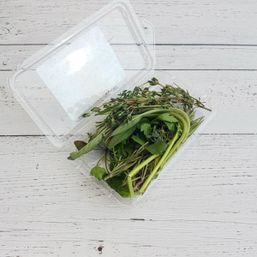 Roots Organic - MX Fresh Herbs - Poultry Blend Org