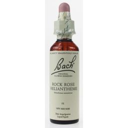 Bach Rock Rose