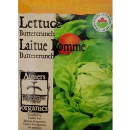 Aimers Organics Buttercrunch Lettuce