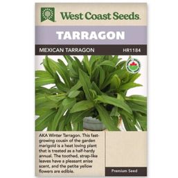 West Coast Seeds Seeds - Mexican Tarragon Certified Organic