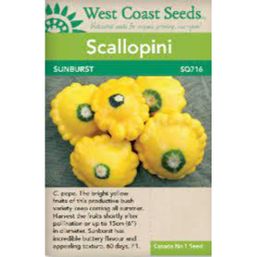 West Coast Seeds Seeds - Sunburst F1 Squash
