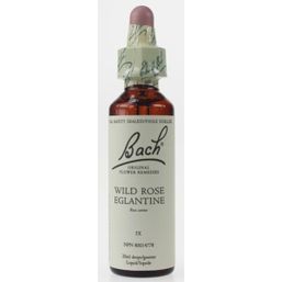 Bach Wild Rose