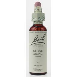 Bach Gorse