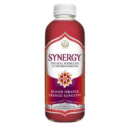 GT's Synergy Blood Orange Kombucha