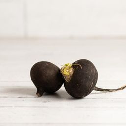 Coke Farms - CAL Radish Black Spanish Org