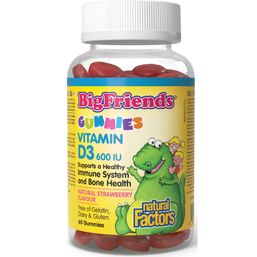 Natural Factors Big Friend's Vitamin D3 600 IU