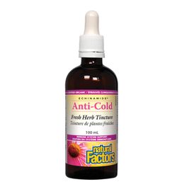 Natural Factors EchinaceaTincture ECHINAMIDE