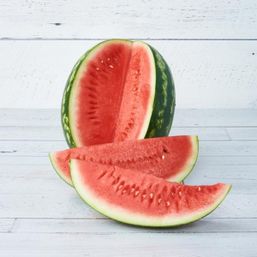 Various Farms - MX Watermelons Org